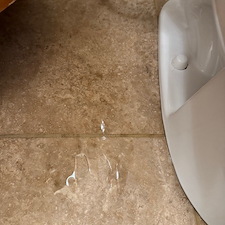 Golden-Pipes-Plumbing-Expert-Sewer-Rodding-in-Western-Springs-IL 1